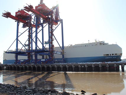 Comprehensive Port Crane Solutions